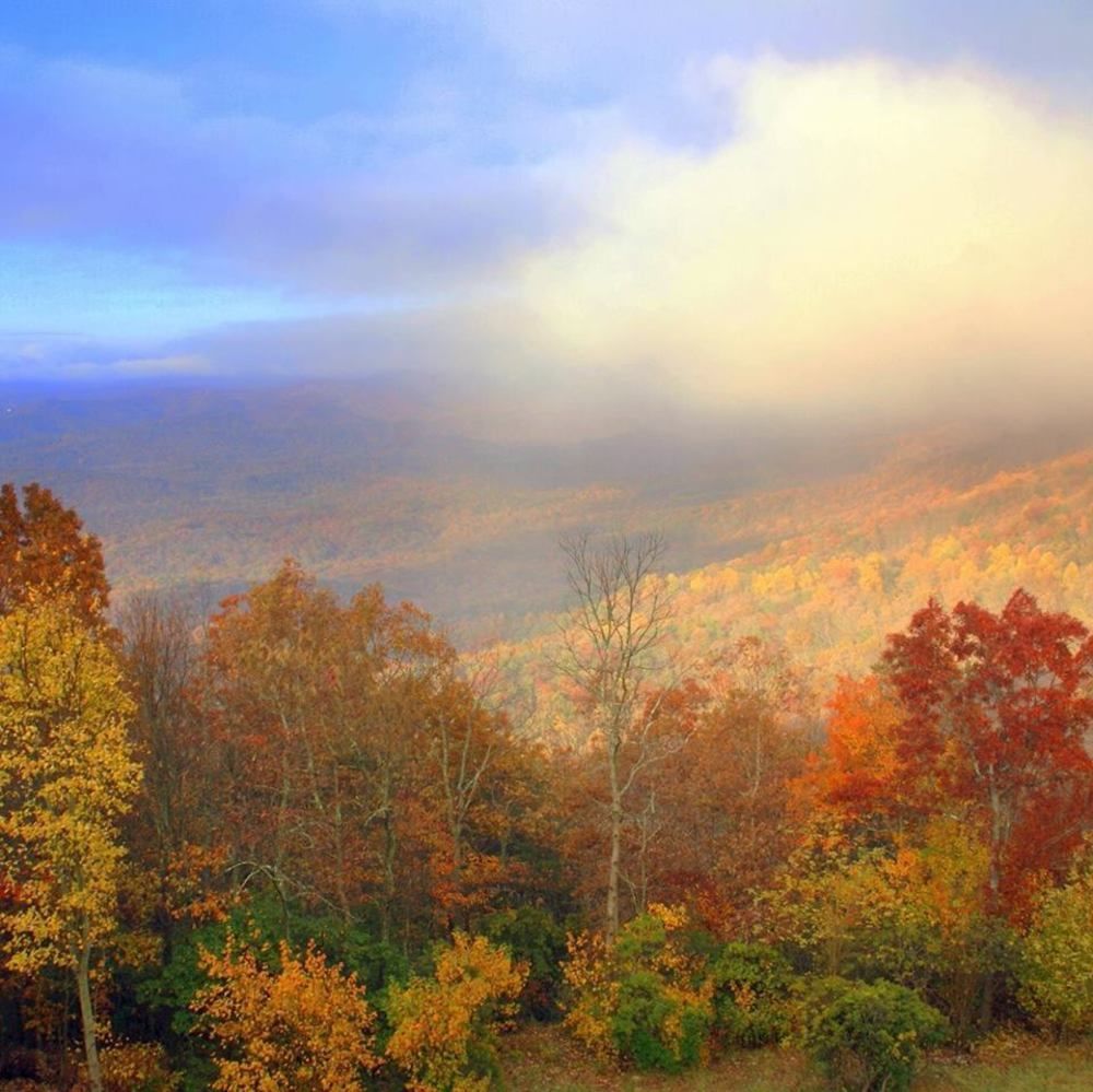 Amicalola Falls State Park And Lodge Dawsonville Εξωτερικό φωτογραφία